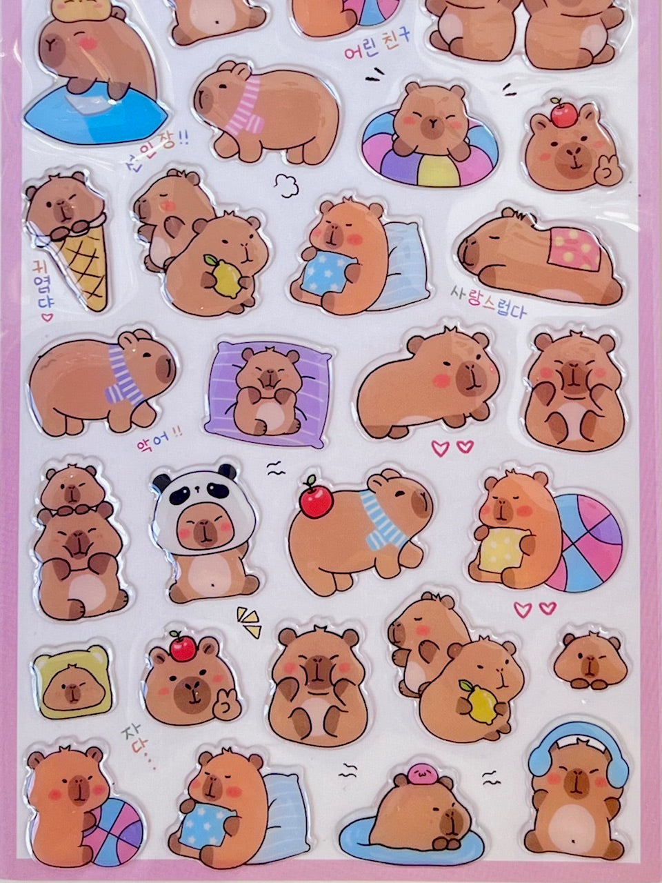 11048 Capybara Vol.3 Stickers-10
