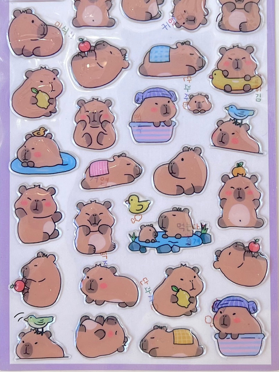 11050 Capybara Vol.5 Stickers-10