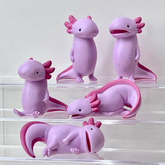 X 70435 Axolotl Void Capsule-DISCONTINUED