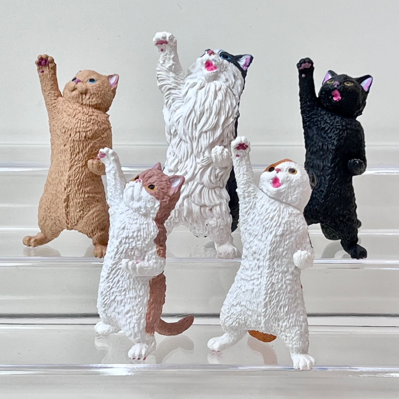 X 70438 Cheering Cat Vol.2 Capsule-DISCONTINUED