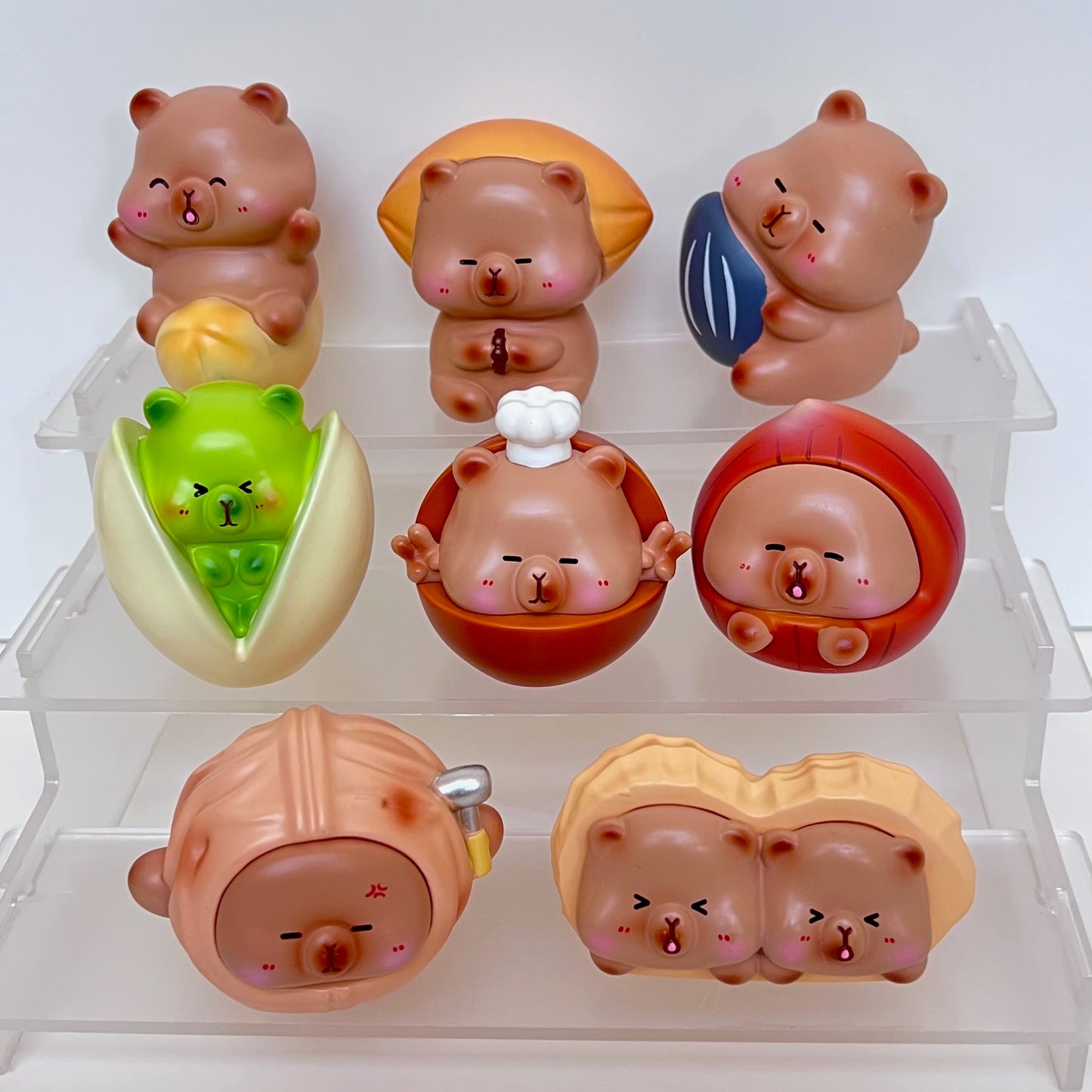 71257 Capybara Nuts Blind Box-8