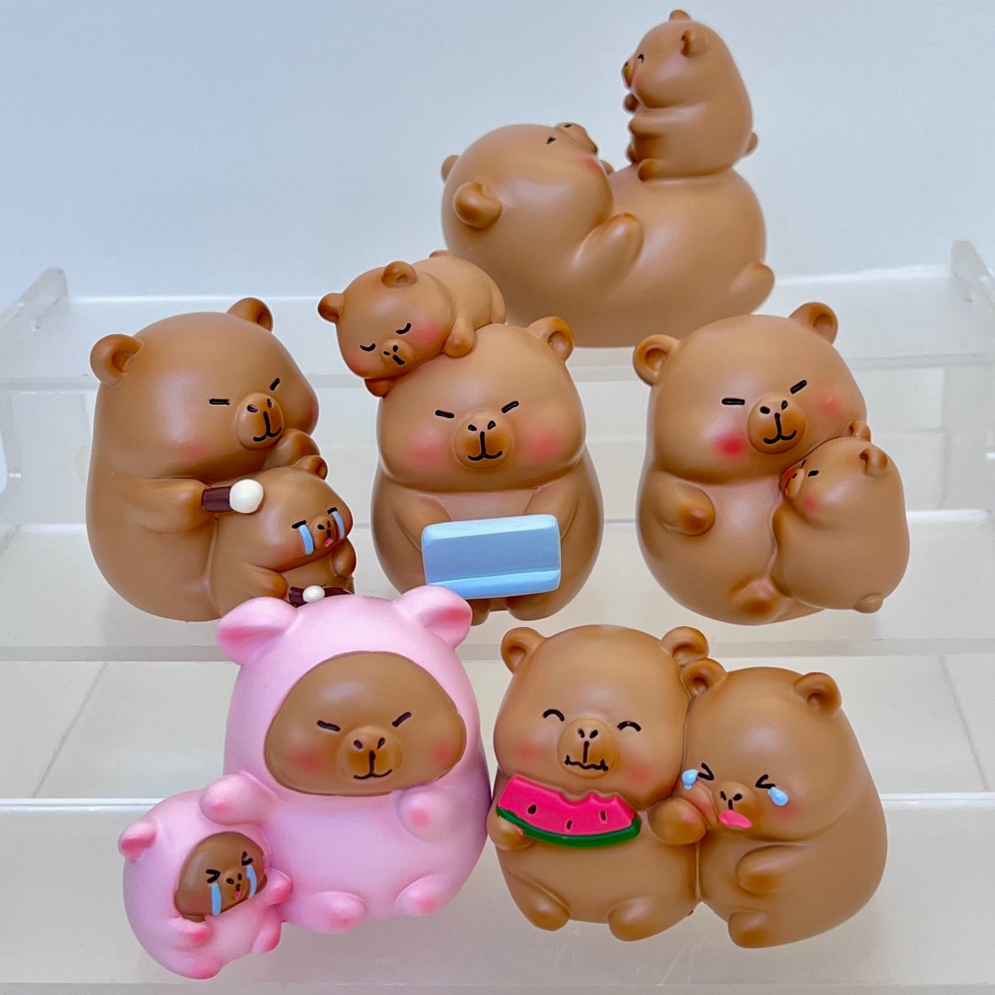 71264 Capybara Family Blind Box-6