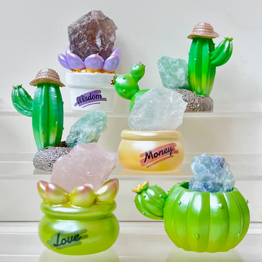 71314 Cactus & Succulent Crystal Blind Box-6