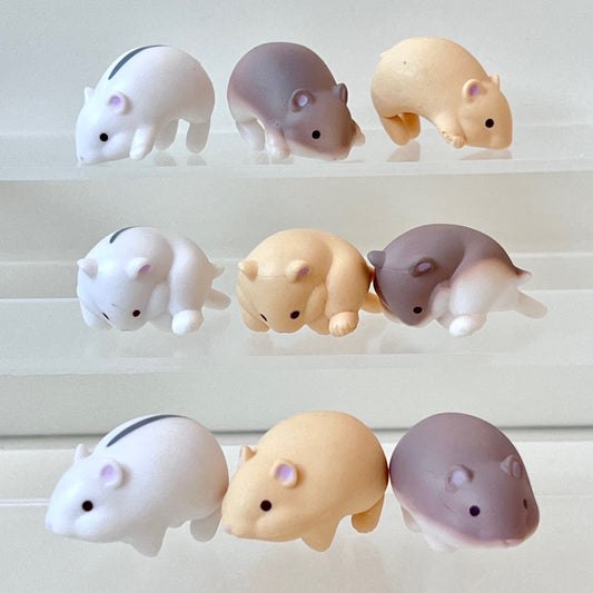 X 73010 HAMSTER BLIND BOX-DISCONTINUED