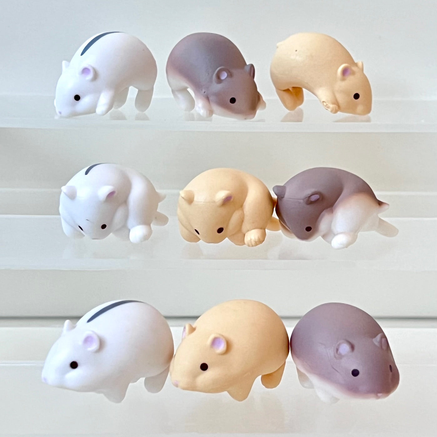 X 73010 HAMSTER BLIND BOX-DISCONTINUED