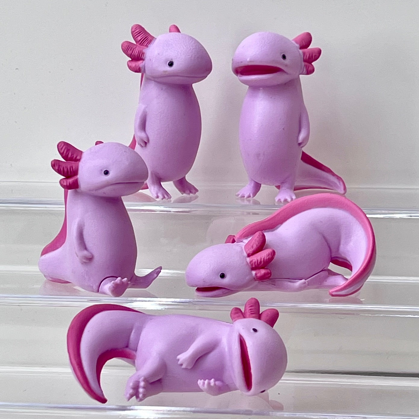 73065 Axolotl Void Blind Box-10
