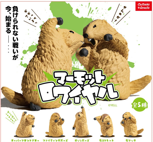 73254 Fighting Marmot Blind Box-10