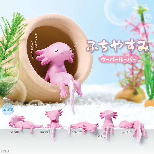 73266 Sitting Axolotls Blind Box-10