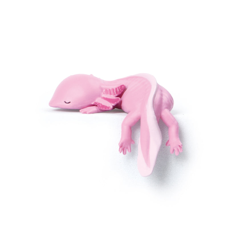 73266 Sitting Axolotls Blind Box-10