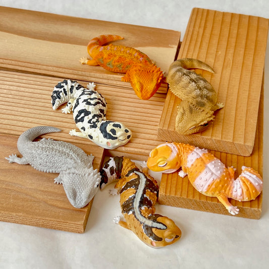 X 70218 Sleepy Gecko Figurine Capsule-6