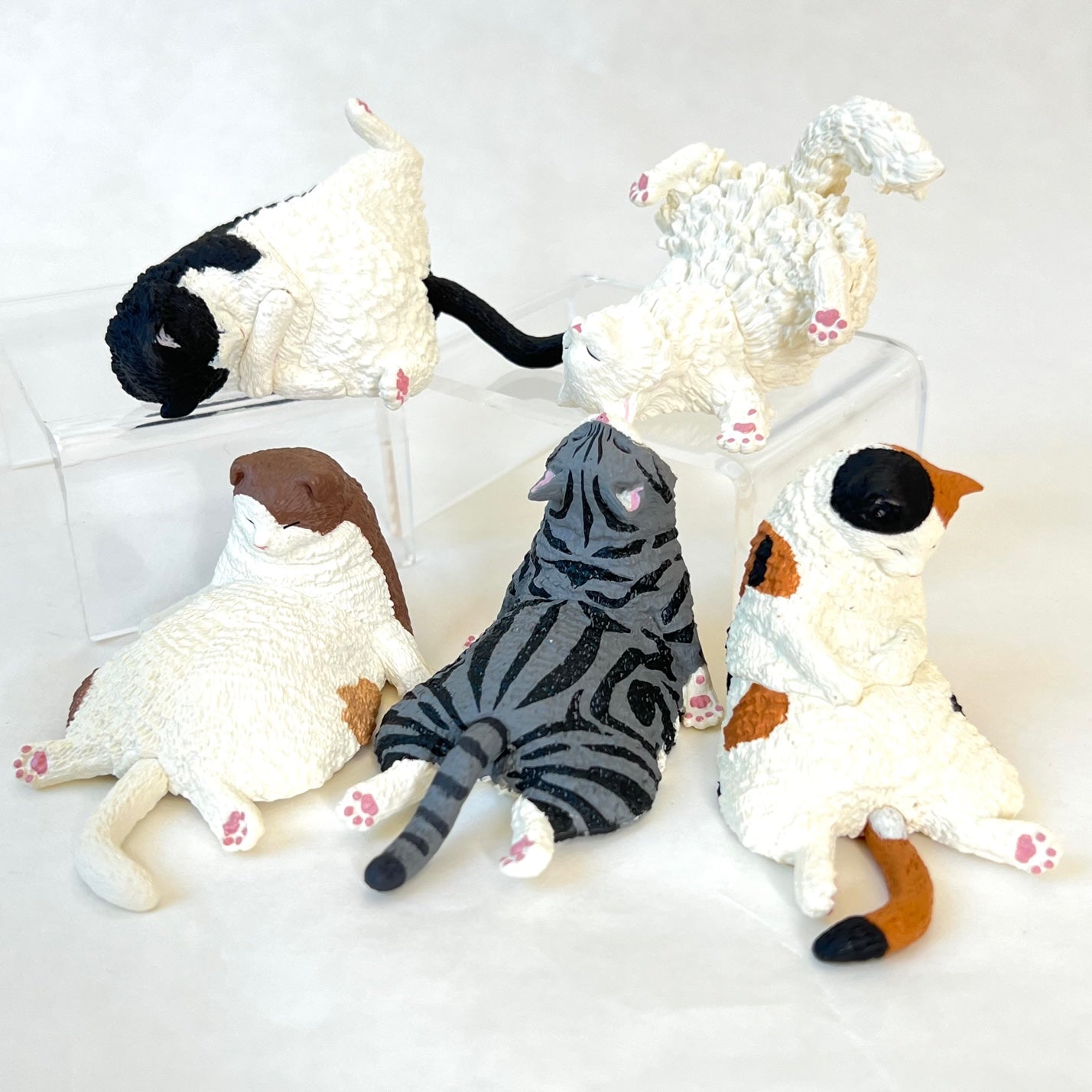 70777 SLEEPING CATS BLIND BOX-10