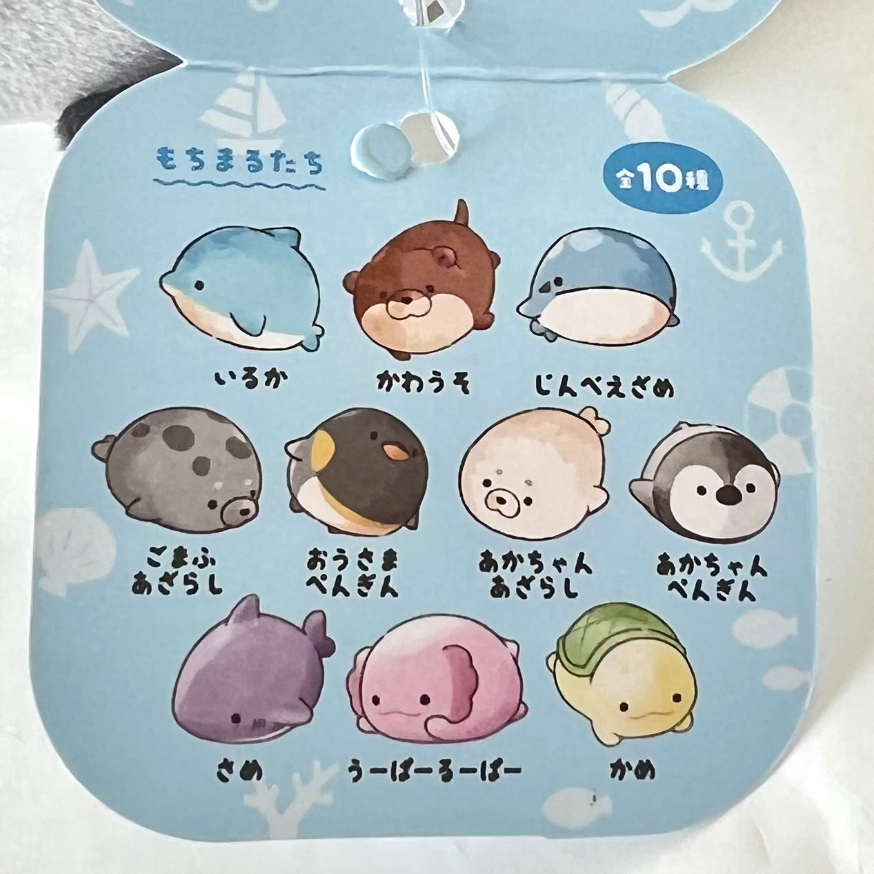 X 63411 ROUND SEALIFE ANIMALS PLUSH-DISCONTINUED