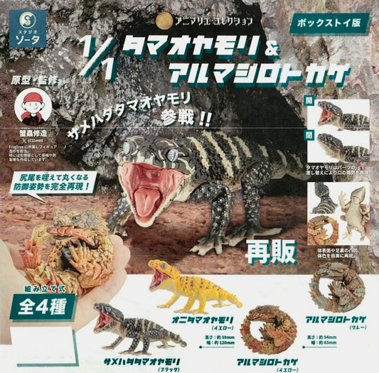 X 73002 Lizard Blind Box-DISCONTINUED