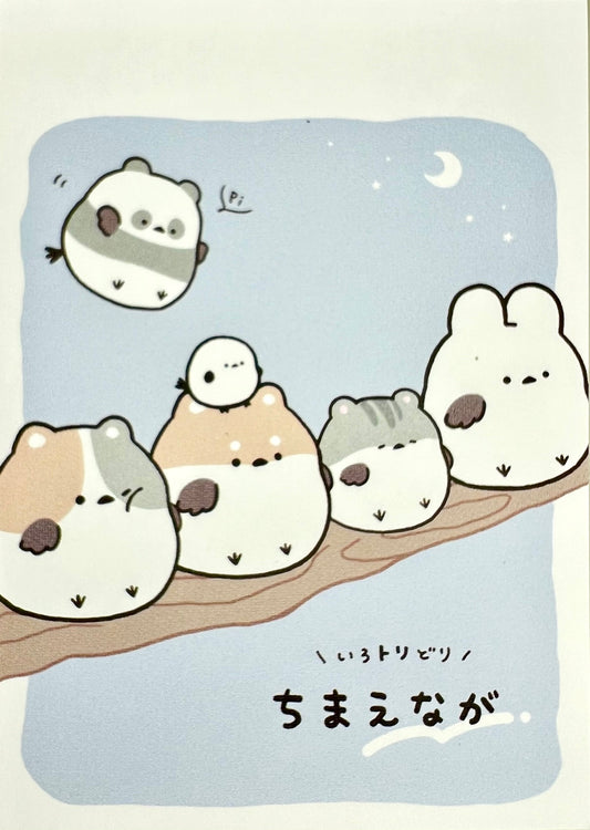 114552 Round Animal Birds Animals Mini Notepad-10