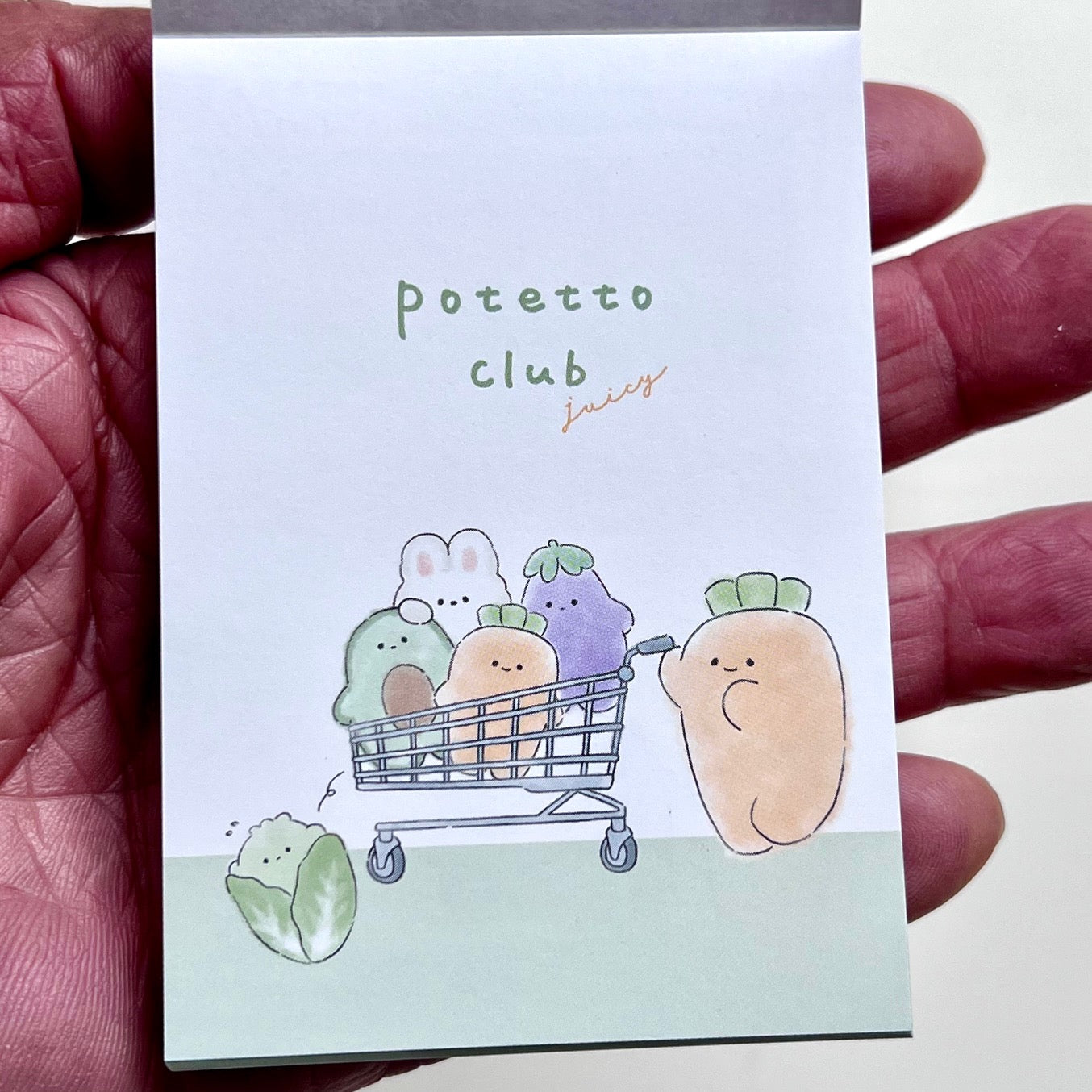 115321 Vegetable Shopping Mini Notepad-10