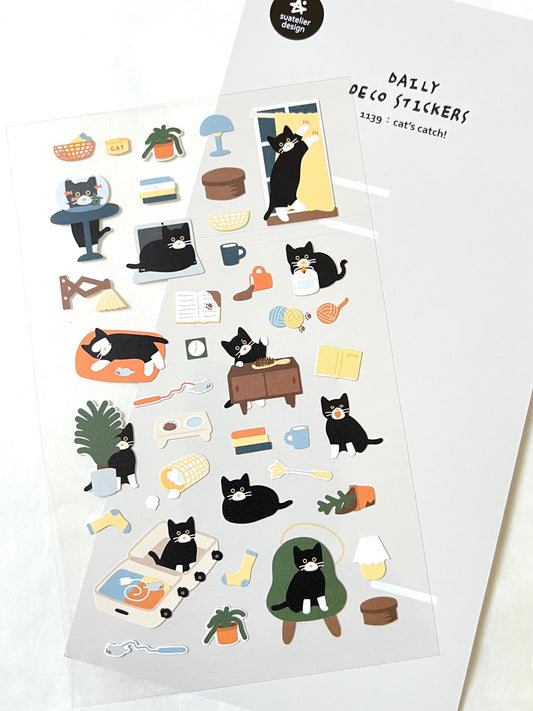 01139 CATS CATCH DAY STICKERS-12