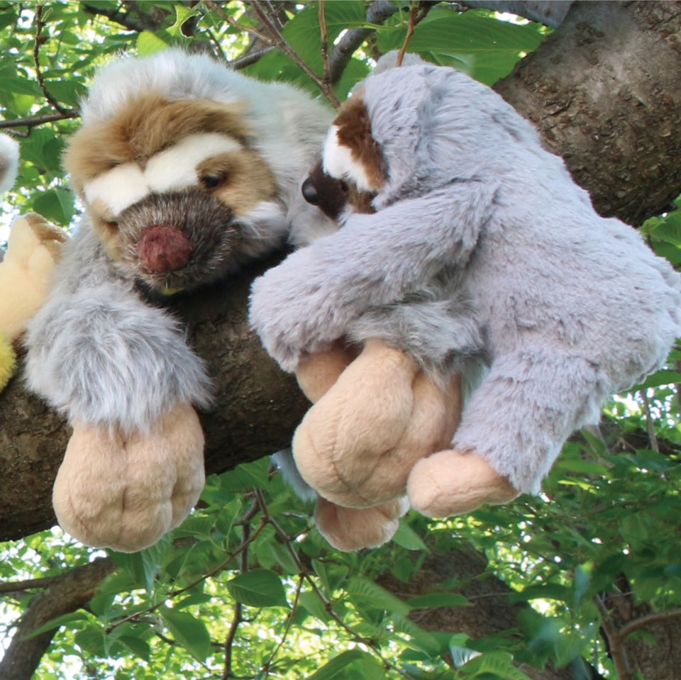 X 63139 HANGING BABY SLOTH PLUSH-DISCONTINUED