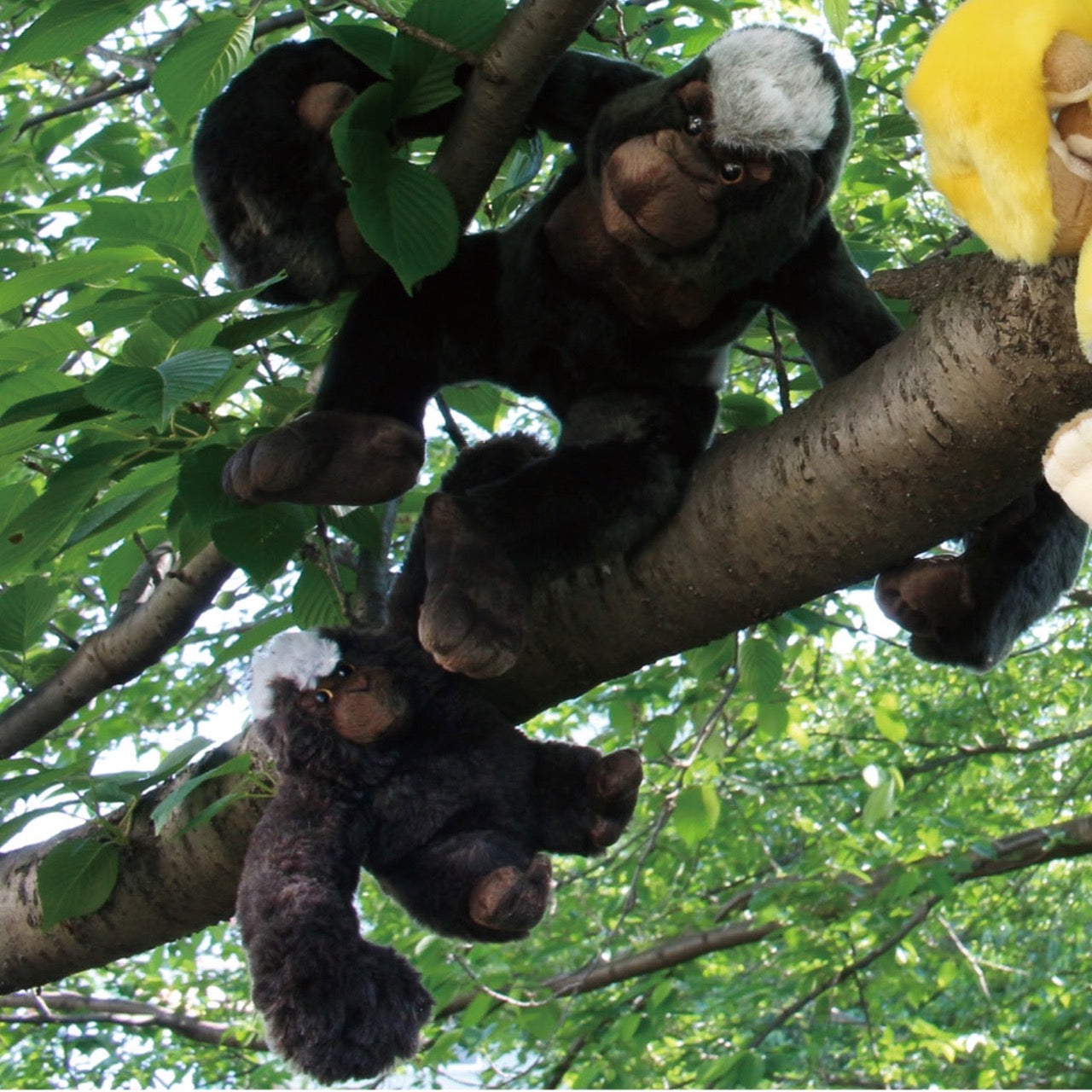 63135 BABY GORILLA PLUSH-1