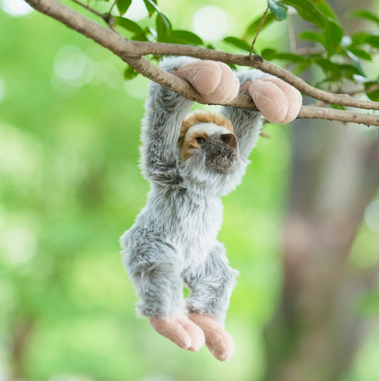 X 63139 HANGING BABY SLOTH PLUSH-DISCONTINUED
