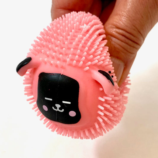 70812 SHEEP CAPSULE