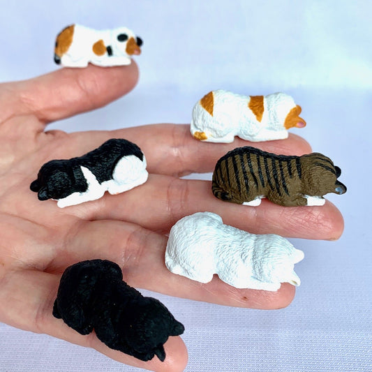 X 70813 SLEEPING CAT CAPSULE-DISCONTINUED