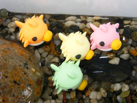 381791 PUFFY FISH ERASERS-30