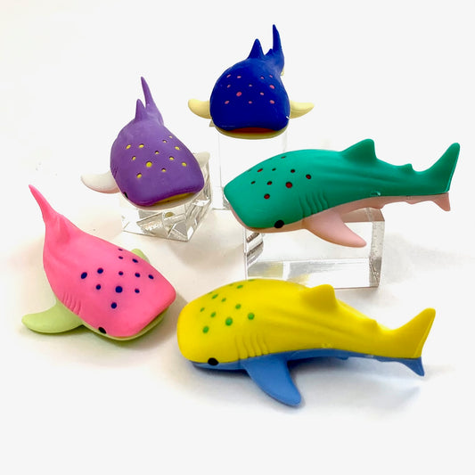 384561 Iwako Colorz Whale Sharks-1 box of 5 Erasers