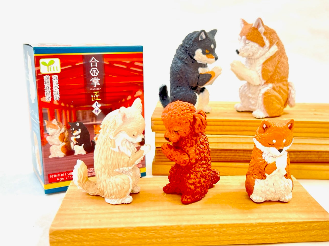 70756 BOWING PUPPY DOG BLIND BOX-10