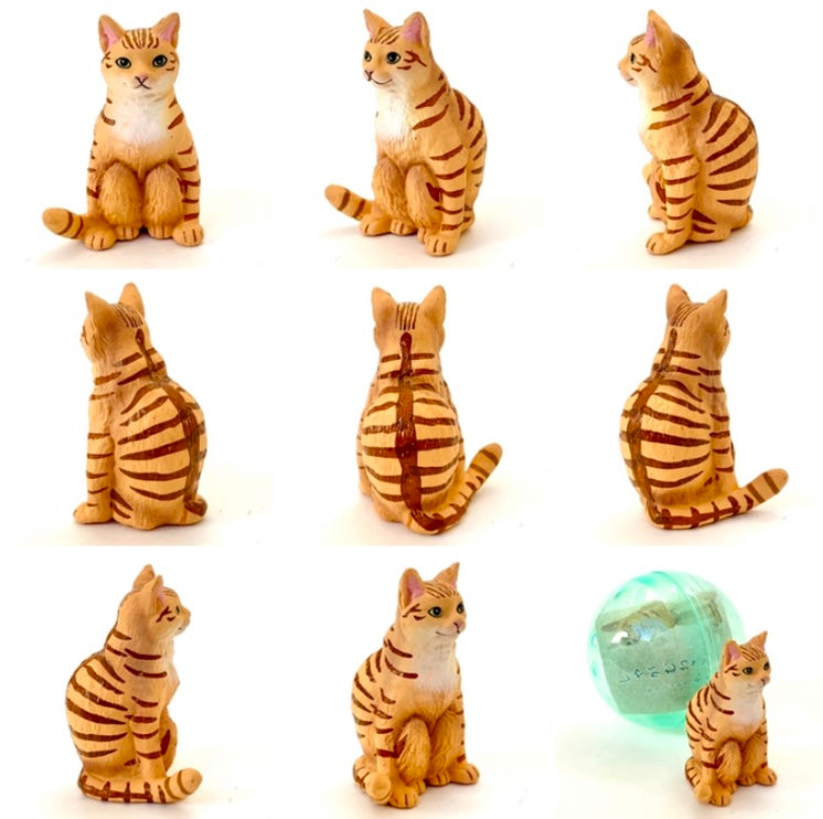 70854 SITTING CAT CAPSULE-6