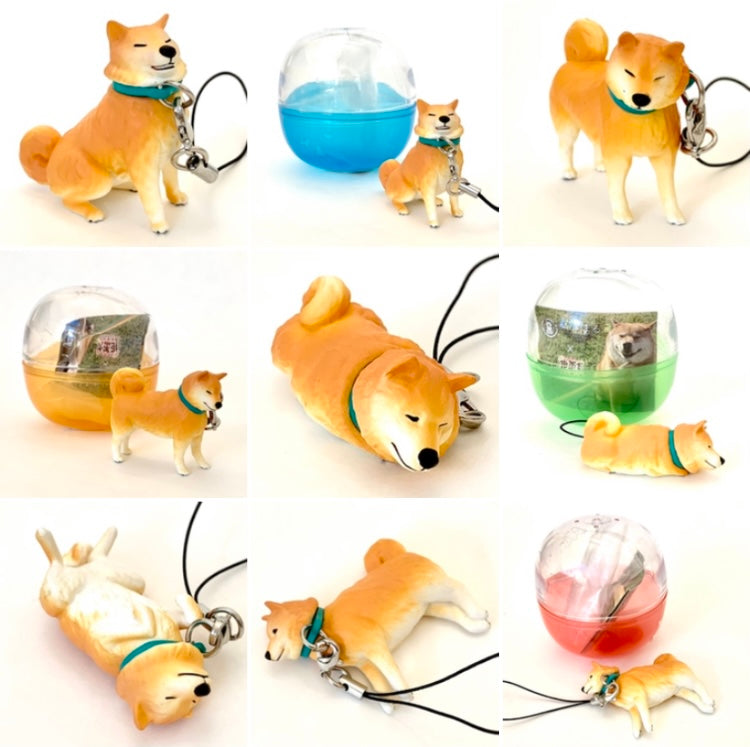X 70855 LAZY SHIBA DOG CAPSULE-DISCONTINUED