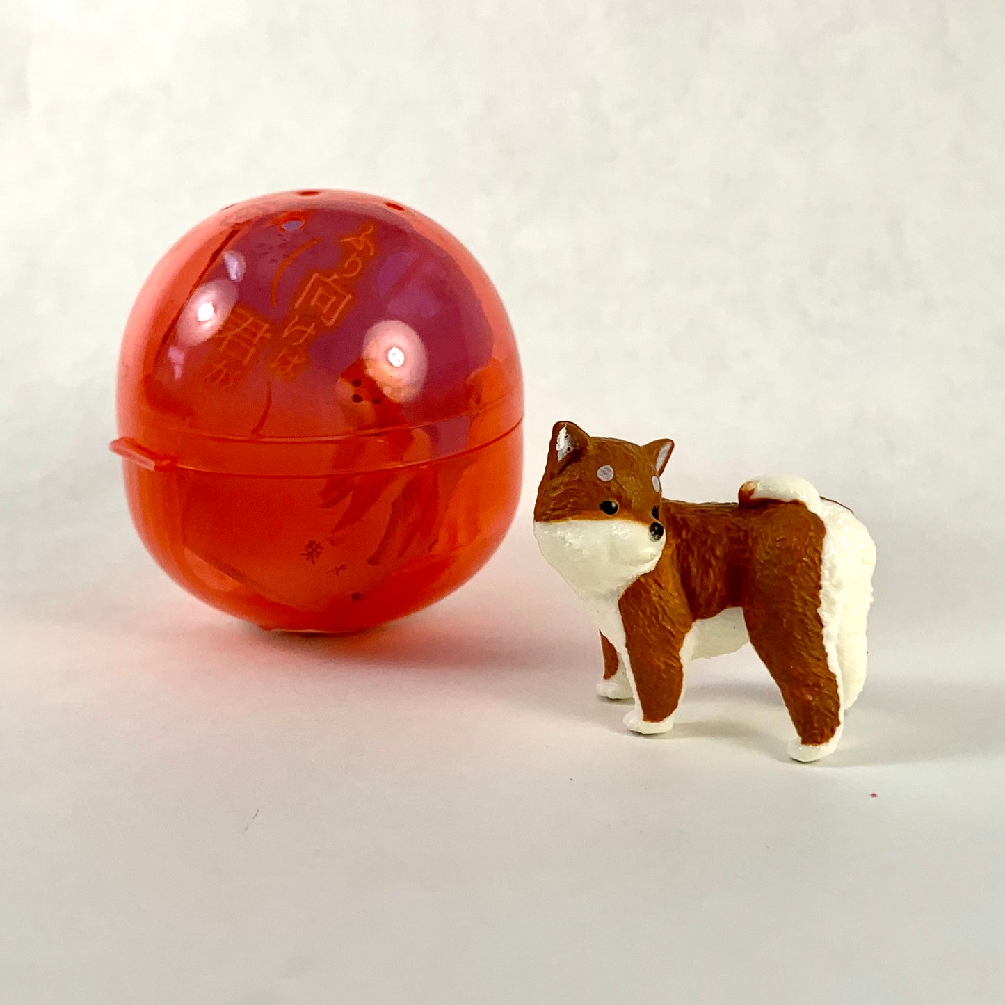 X 70829 TURNING DOG CAPSULE-DISCONTINUED