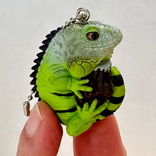 X 70207 Iguana Gecko Figurine Capsule-DISCONTINUED