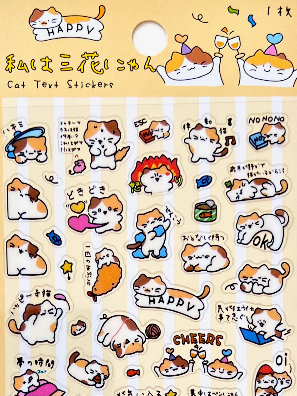 11081 Cat Text Stickers-12