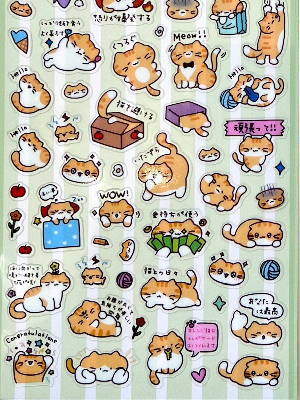 11081 Cat Text Stickers-12