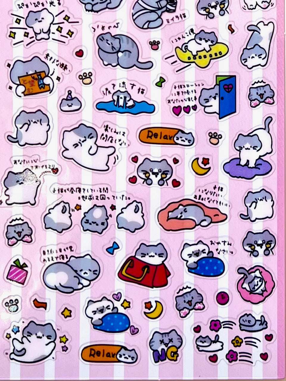 11081 Cat Text Stickers-12