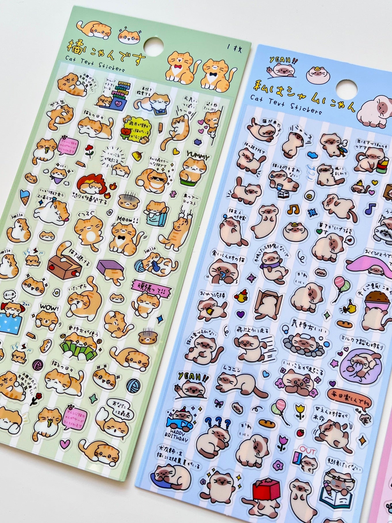 11081 Cat Text Stickers-12