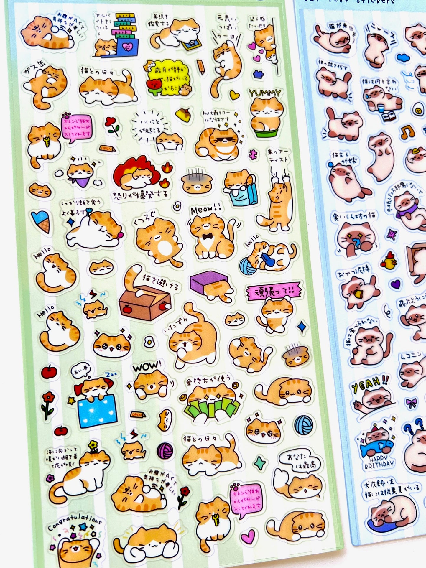 11081 Cat Text Stickers-12