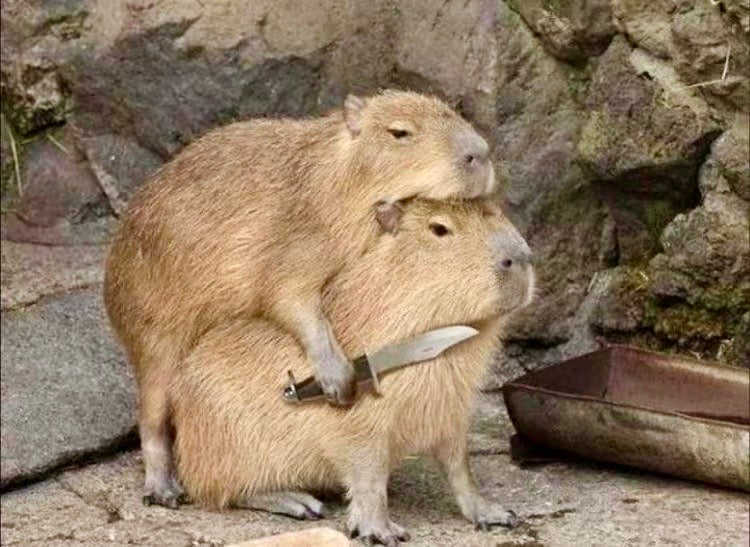 12188 Capybara Kawaii Key Charm-12