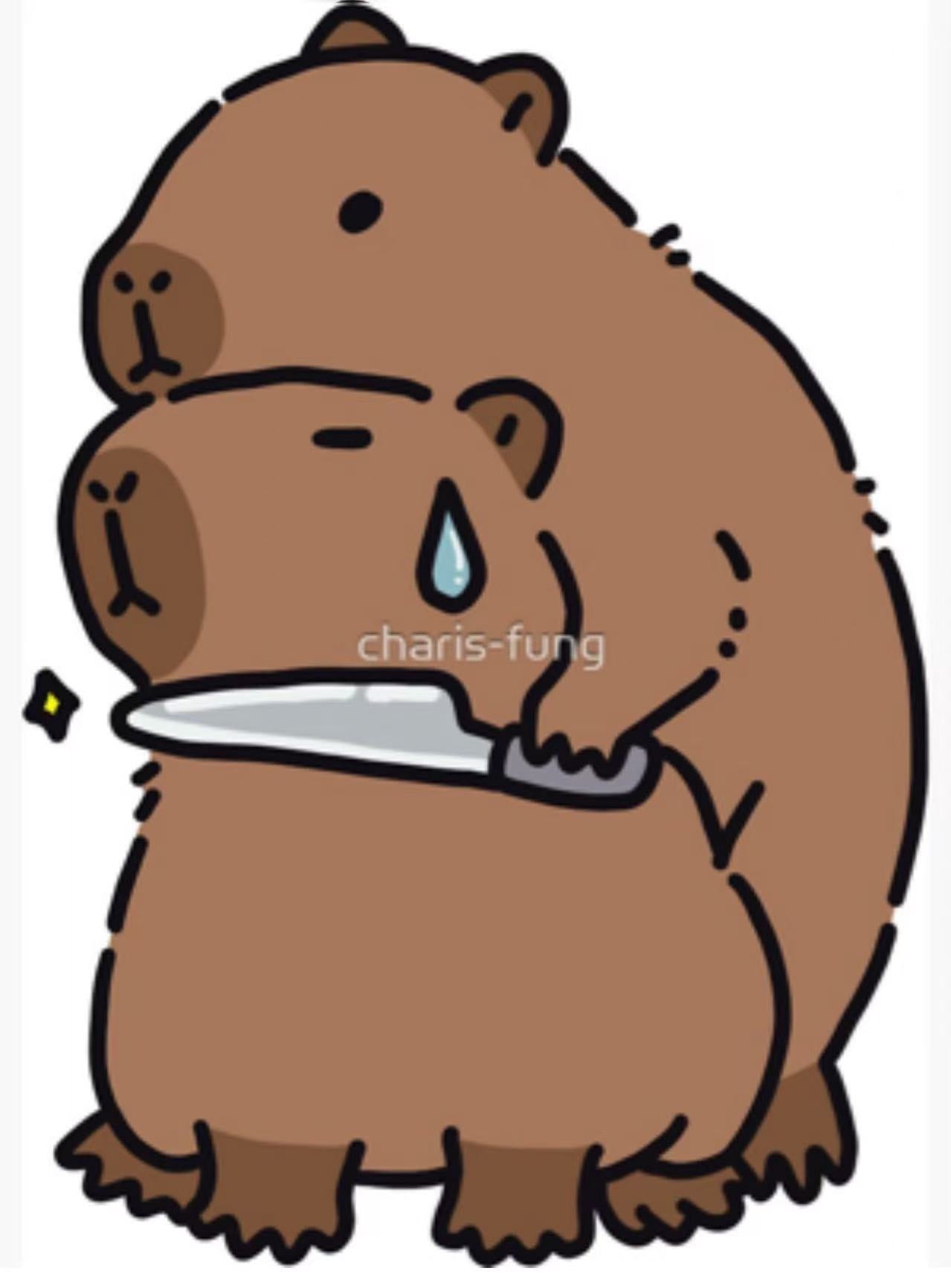 12188 Capybara Kawaii Key Charm-12