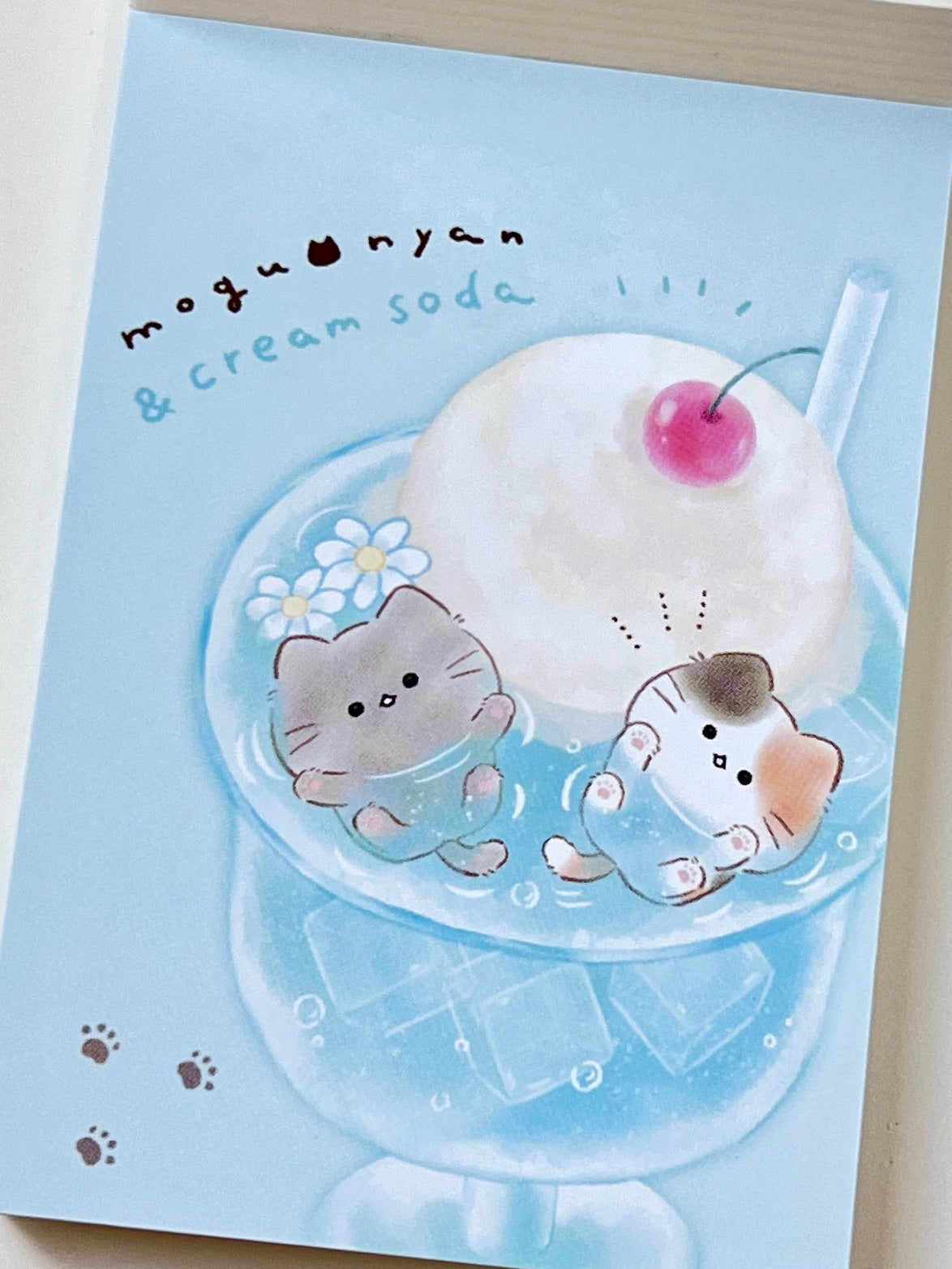 219564 Cat Cream Mini Notepad-10