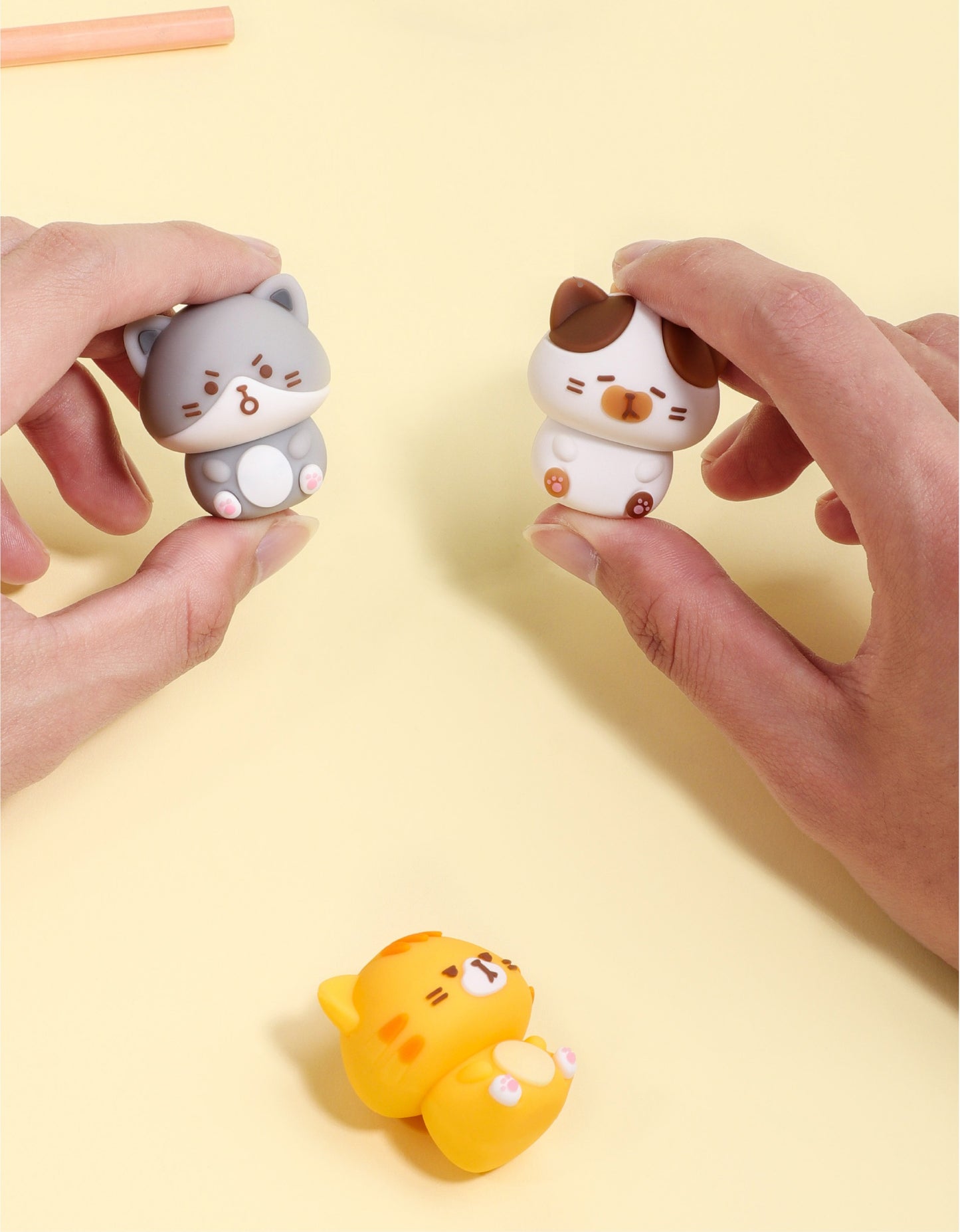 38811 Cat Diary Erasers-24