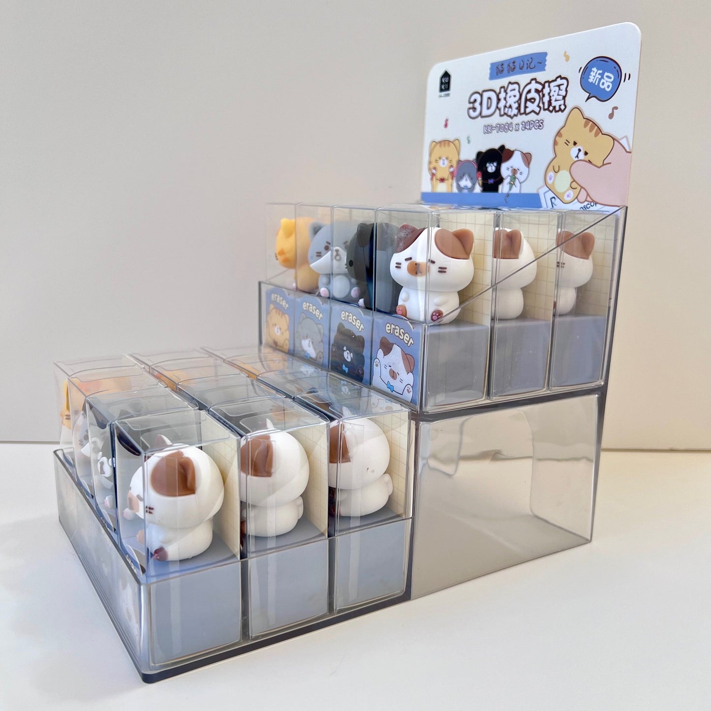 38811 Cat Diary Erasers-24