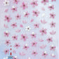 50114 Sakura Cherry Blossom Stickers-12