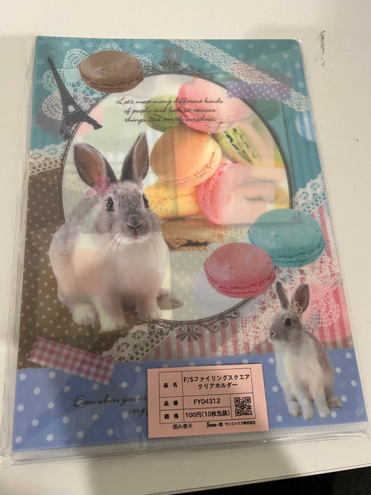 X 624534 Bunny Rabbit Folder Sleeve-DISCONTINUED