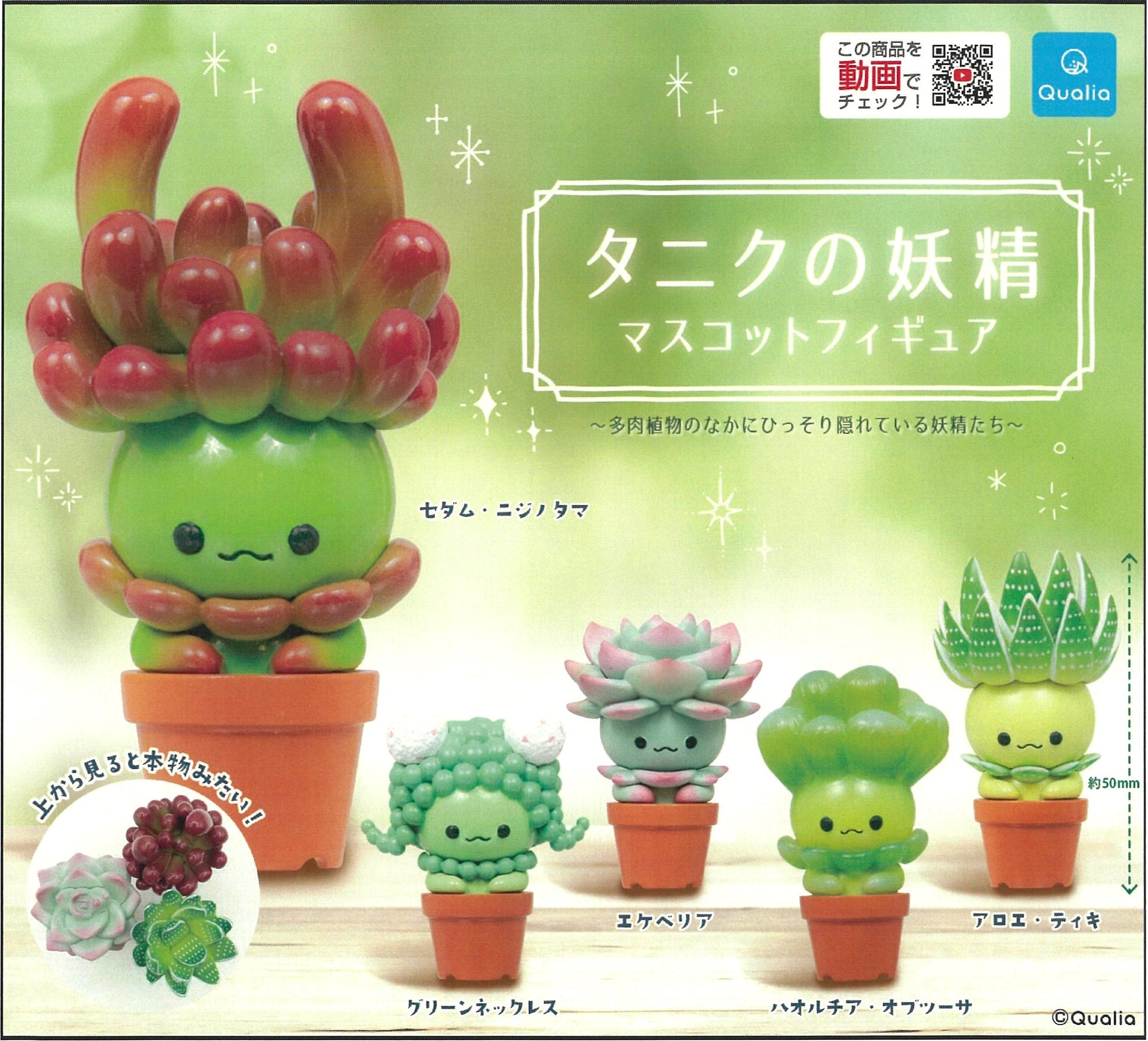 succulent squishy X 70330 Succulent Plants Figurine Capsule-DISCONTINUED – BCmini