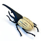 70360 Beetle Figurine Capsule-4