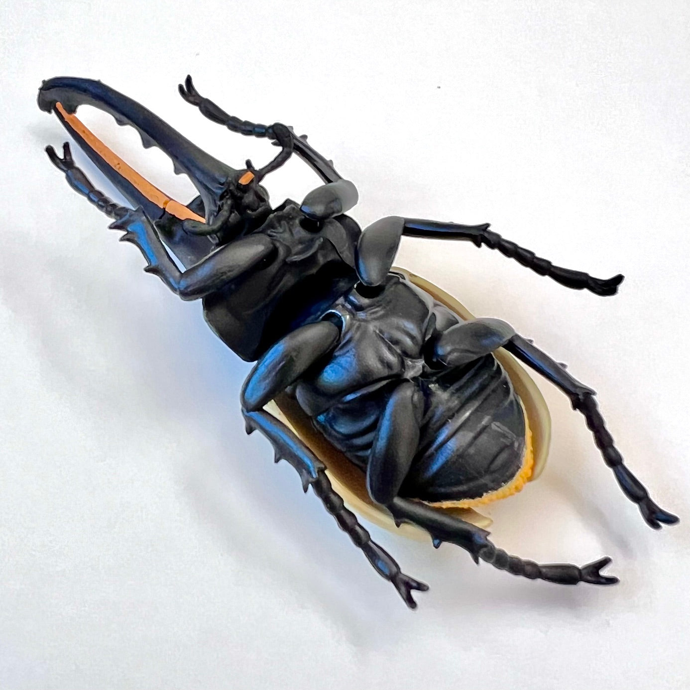 70360 Beetle Figurine Capsule-4