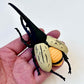 70360 Beetle Figurine Capsule-4