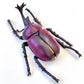 70360 Beetle Figurine Capsule-4