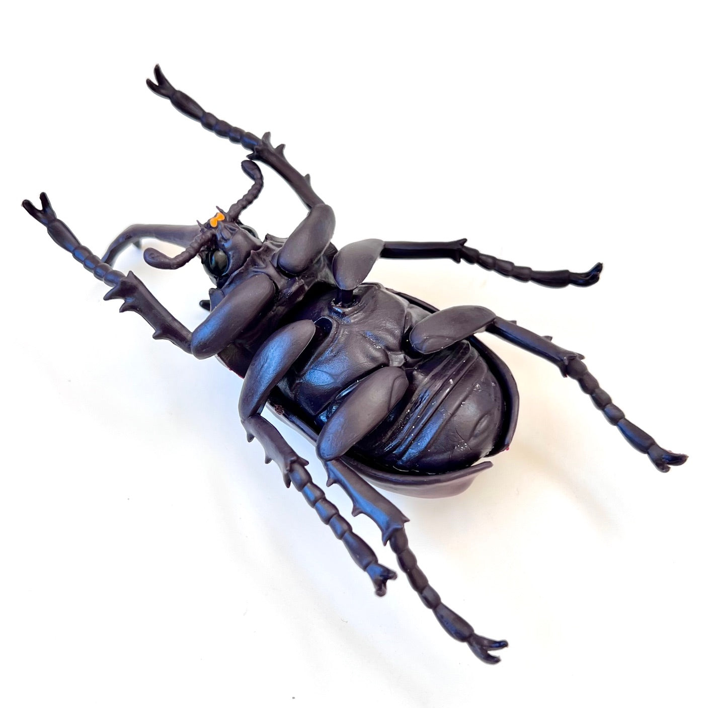 70360 Beetle Figurine Capsule-4